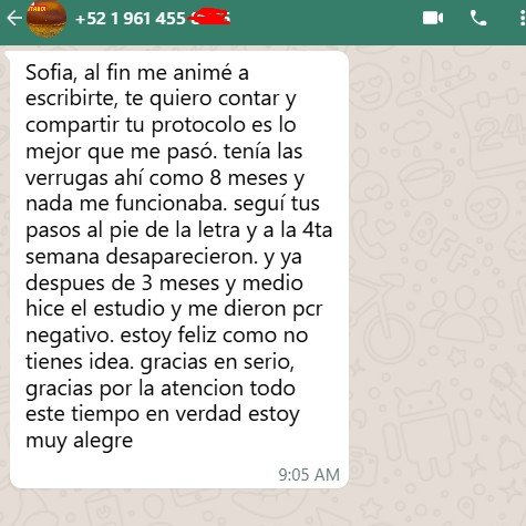 Captura de WhatsApp: una lectora narra su experiencia después de seguir los pasos del ebook